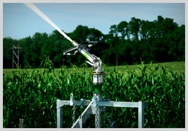 Water-Reel sprinklers, sprinkler heads irrigating a sports field